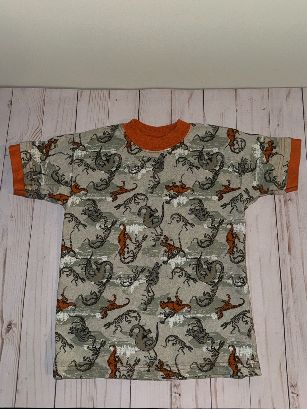Vintage dinosaur tee